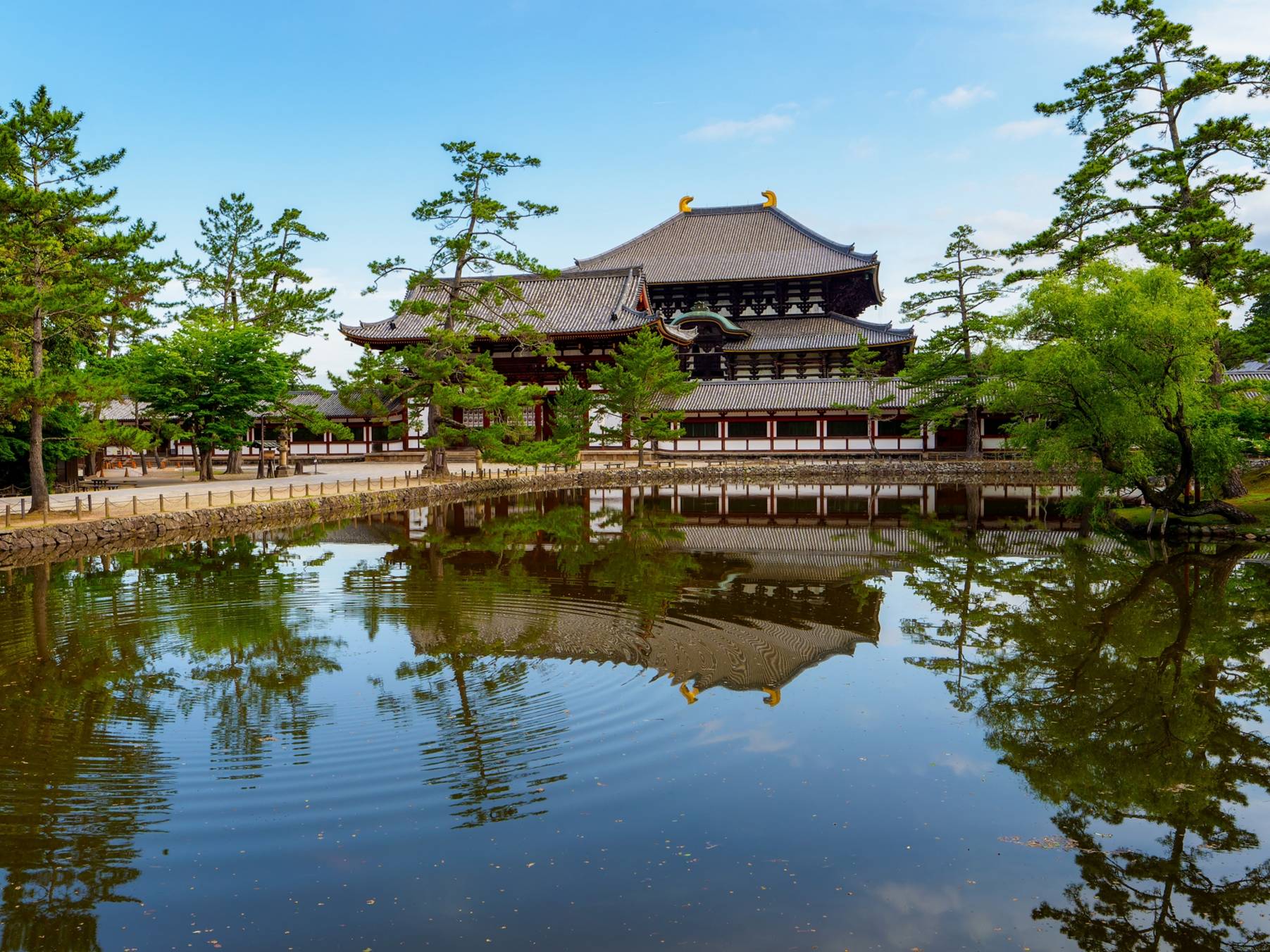 奈良観光名物東大寺‐幸福麻婆