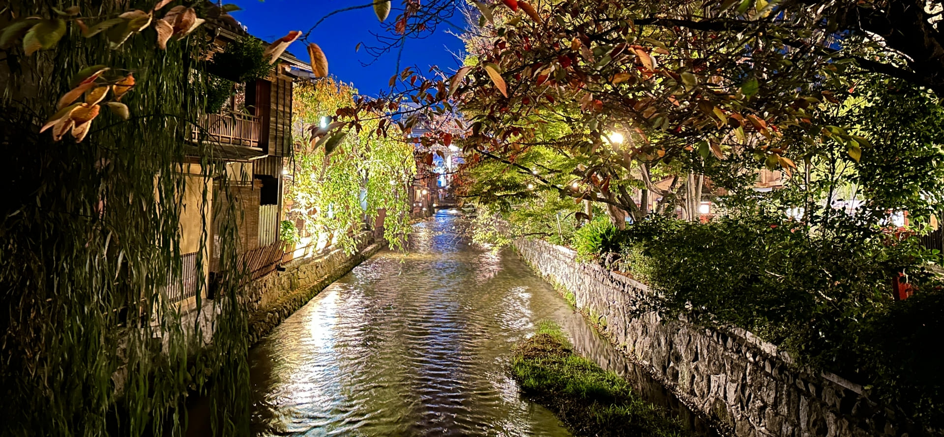 雨の日の石畳と苔庭を巡る静寂コース